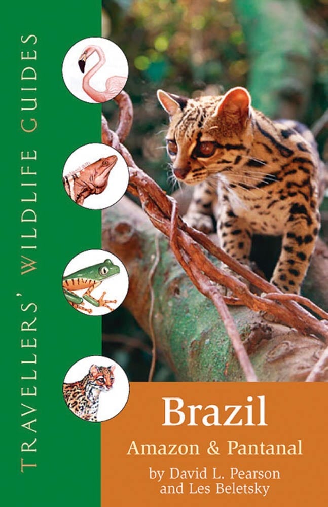 Brazil, Amazon and Pantanal
