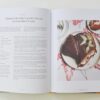 Home Food: 100 Recipes to Comfort and Connect